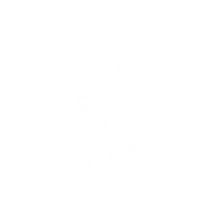 cuerpo-humano